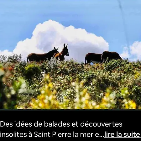 Apartmán Face A La